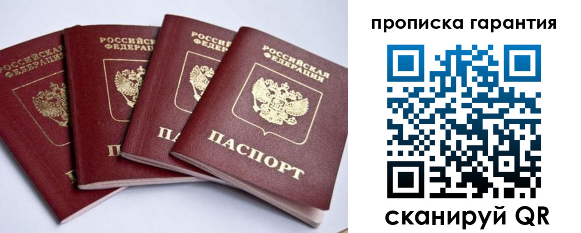 прописка поиск в Ярославле